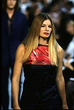 1995 Fine Nylon Dress with Transparent Panel